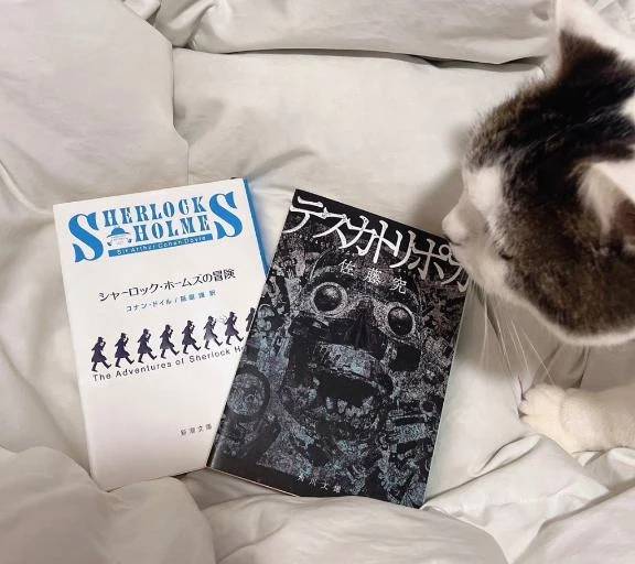 最近読んだ小説は…