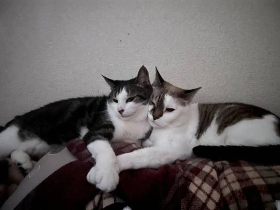 今日ちょっと文字多いよ_(:3 」∠)_