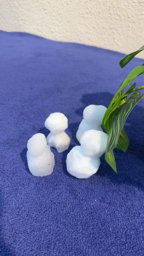 おはようございます☀️