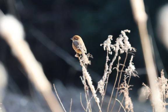 おかよおはよ🍬\( *´ω`* )/♪