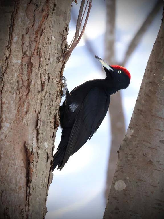 ただいまおかえり\( *´ω`* )/♪
