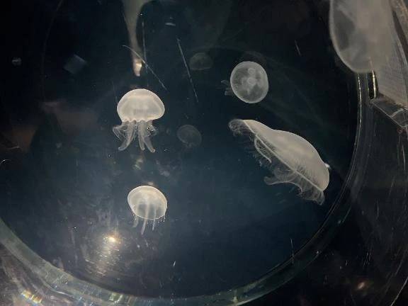 変更のお知らせ⋆͛📢⋆