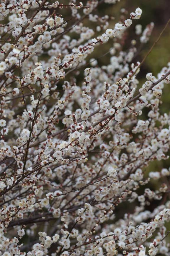 あした\( *´ω`* )/♪