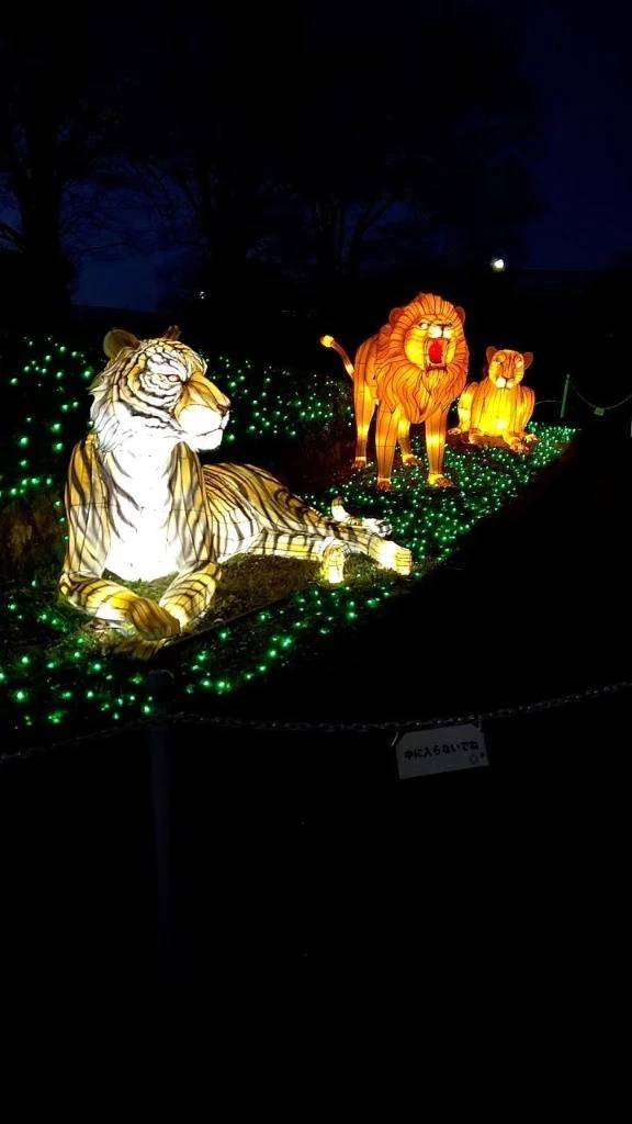 お休み中に行った場所🦁