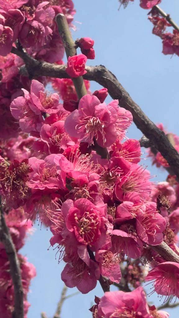 おはようございます☀️