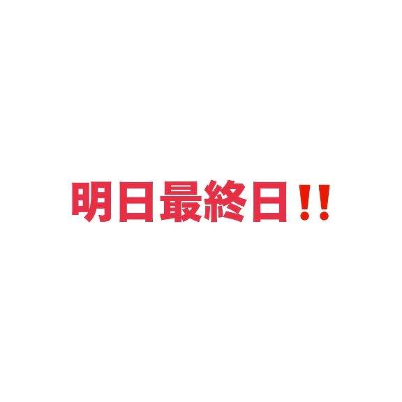 明日最終日‼️