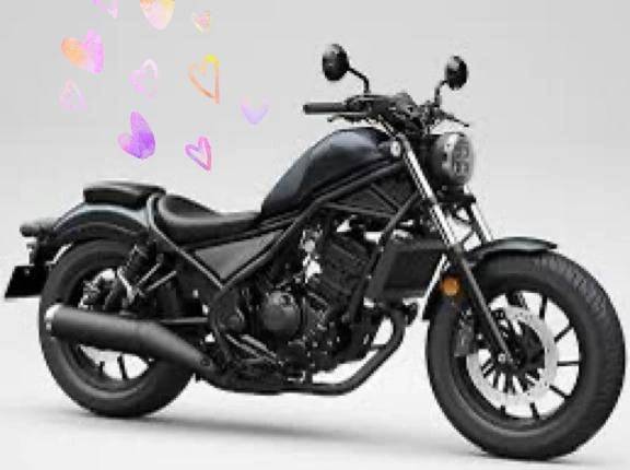 🏍️Diary No.4