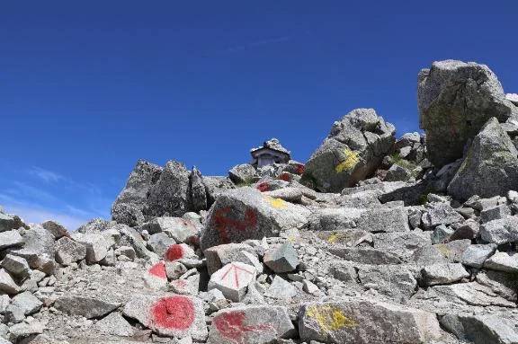 ただいまおかえり🍽️\( *´ω`* )/♪