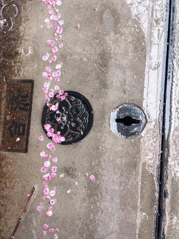 みもこころもぴかぴかになる⛰️💪( *´ω`* )/♪