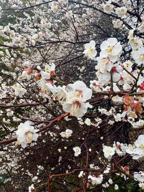 今日も完売ありがとう💕