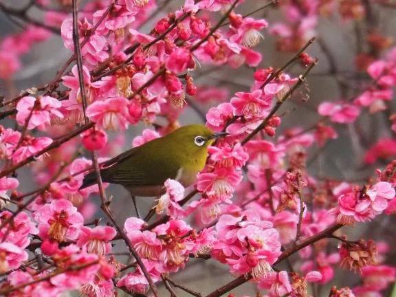 おかよおはよ\( *´ω`* )/♪