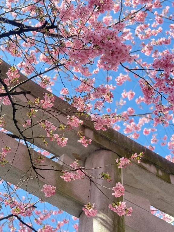 3月🌸出勤日