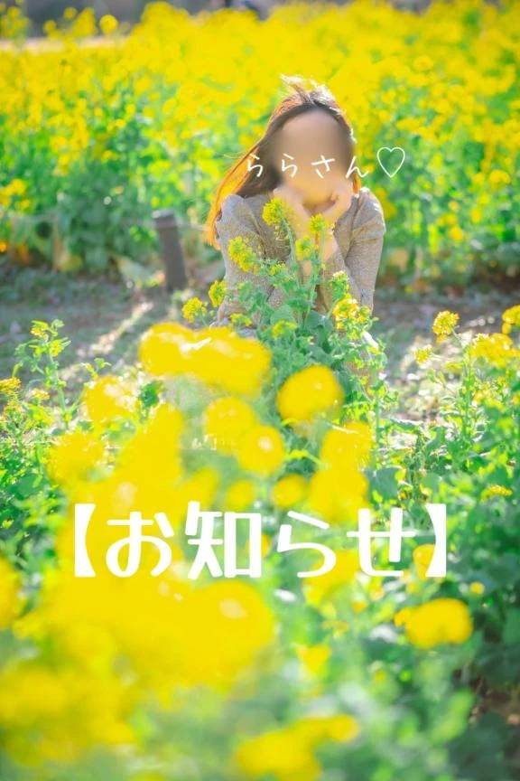 3月🌸お知らせ