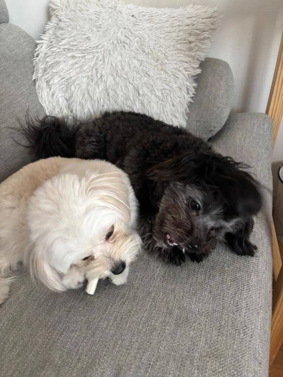 本日も〜かむさはむにだ❗️❗️❗️