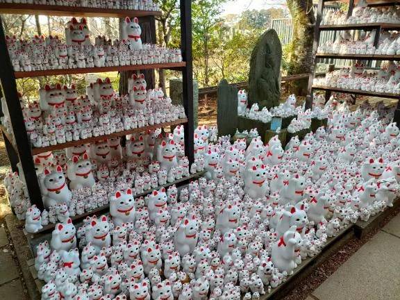 お気に入りの常宿の