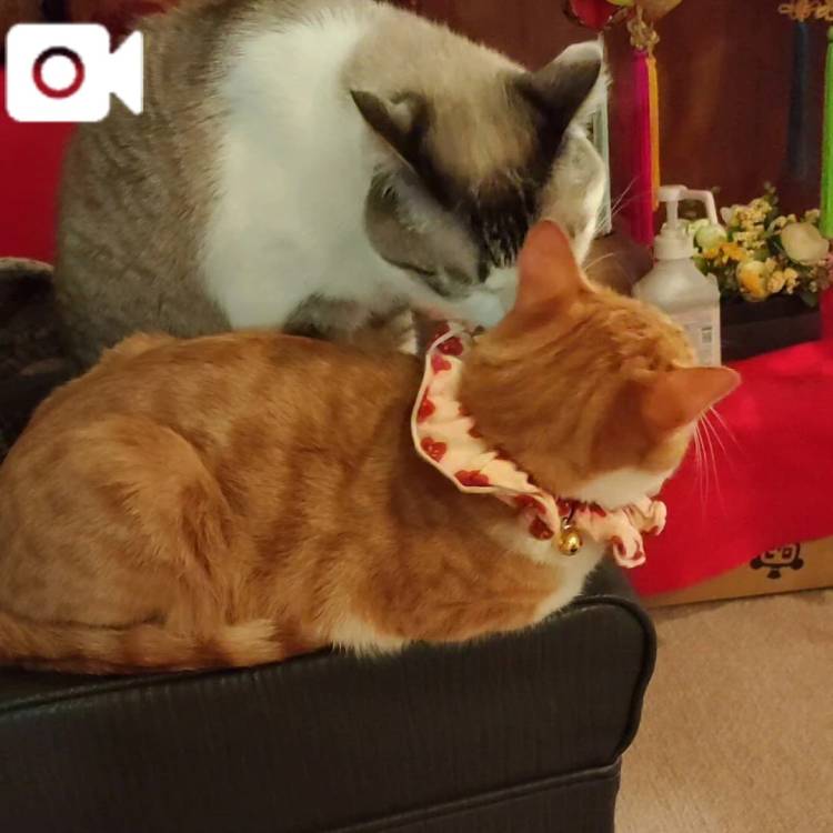 那須塩原温泉♨