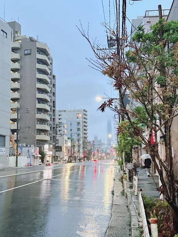 あいにくのお天気☔️