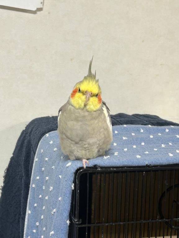 風邪ひいた時どうしてました…🤔