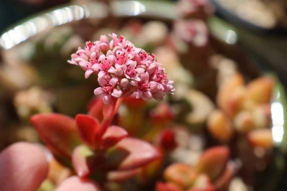 とんで♪とんで♪とっとととんでけ~🌬️\( *´ω`* )/♪