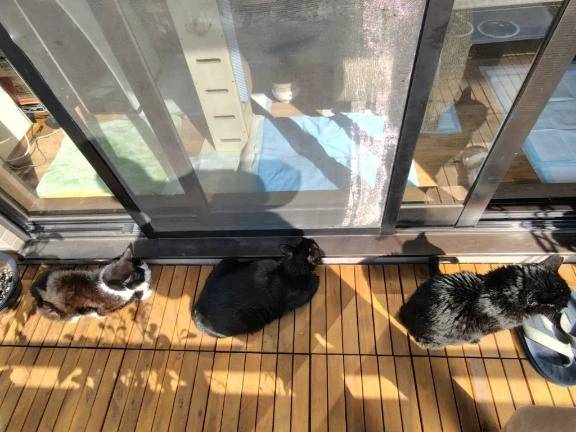 次回13日/🌸３月出勤予定🌸