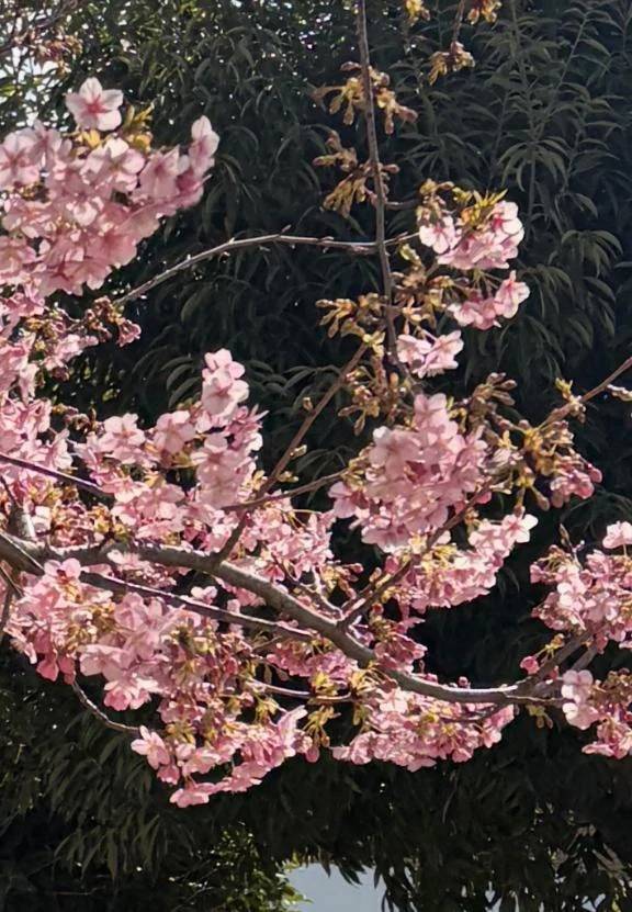 お久しぶりです