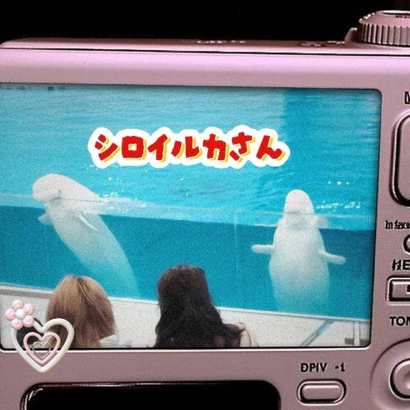 0840ございます🌞