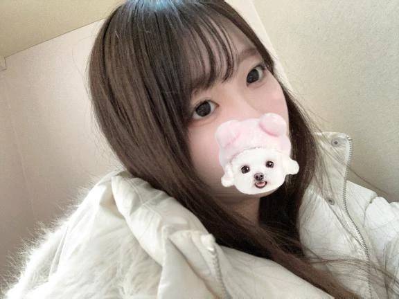 オフにこちゃん😸