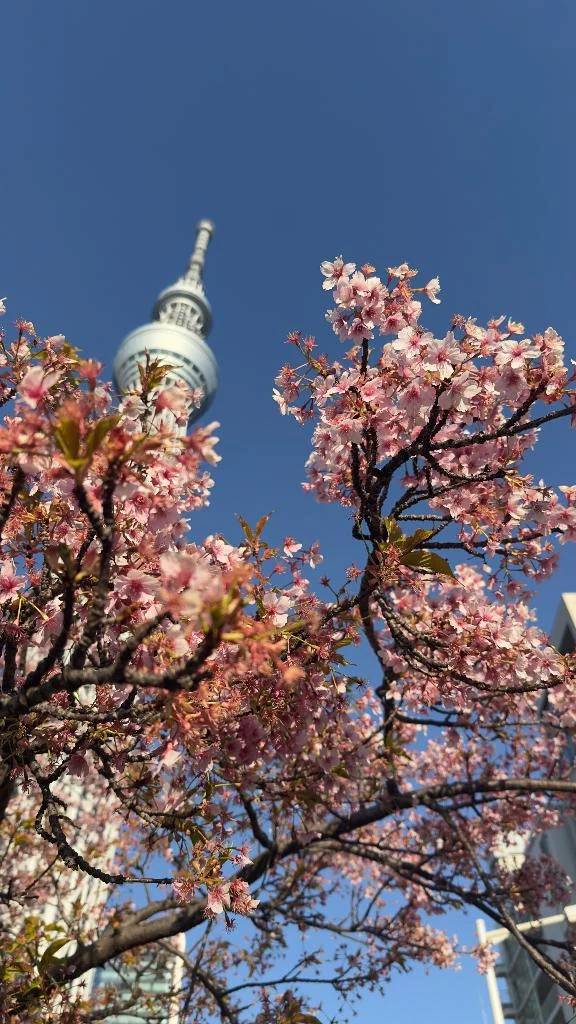 おはようございます☀️