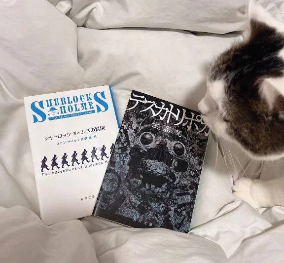 最近読んだ小説