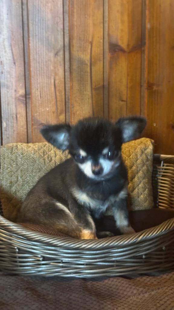 おはようございます☀️