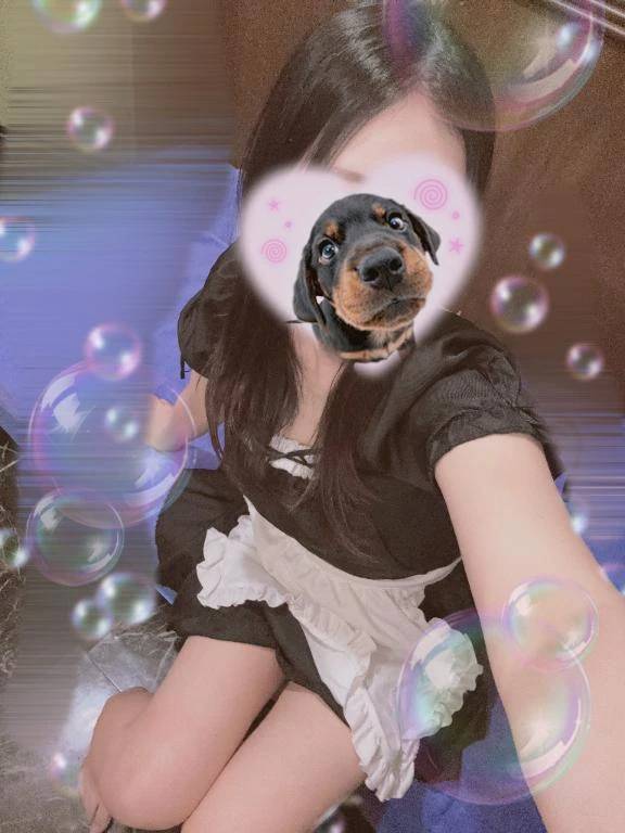 お帰りなさいませ(❁ᴗ͈ˬᴗ͈)っ🍵