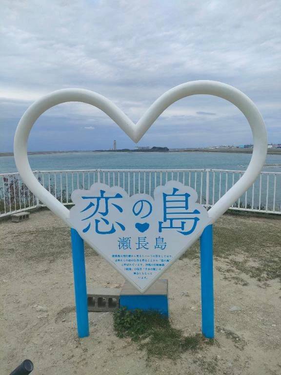 🌸１７日ご予約様方🌸