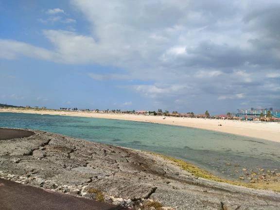 🌸３月出勤予定です🌸