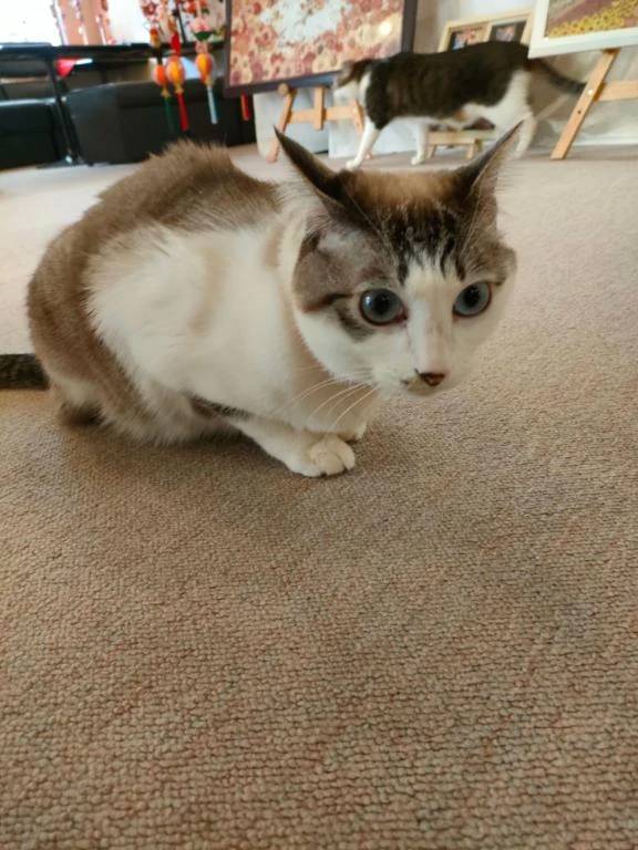 🌸３月出勤予定🌸