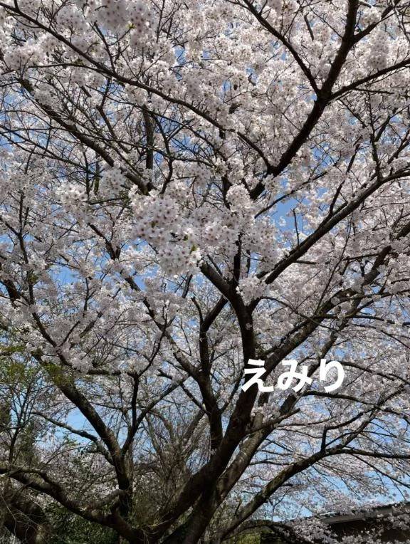 改めて