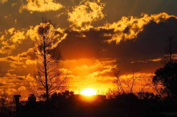 おはようございます☀️