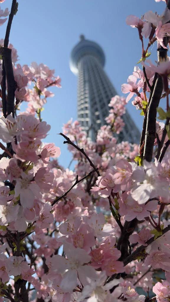 おはようございます☀️