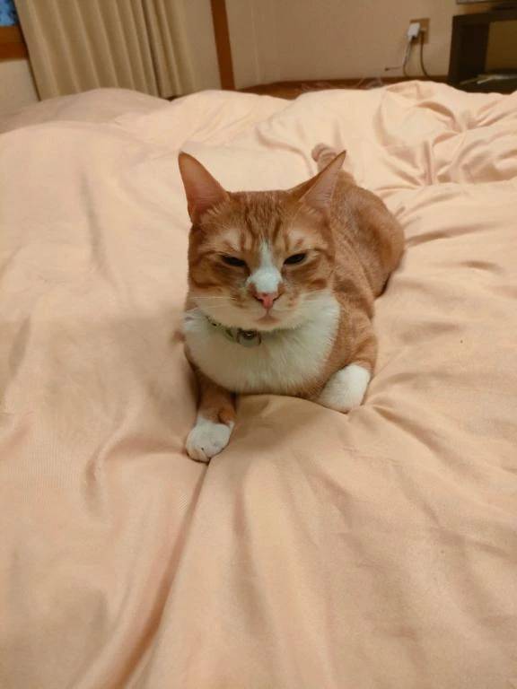 🌸３月出勤予定🌸