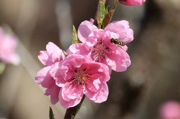 おかよおはよ\( *´ω`* )/♪