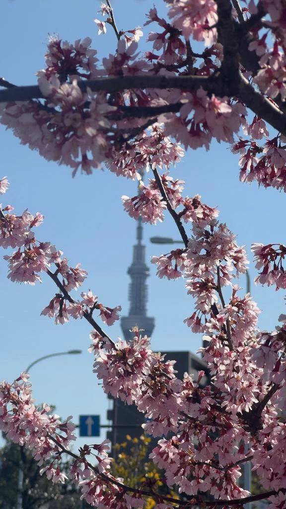 おはようございます❣️