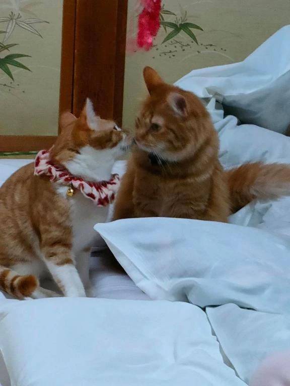 🌸４月出勤予定🌸