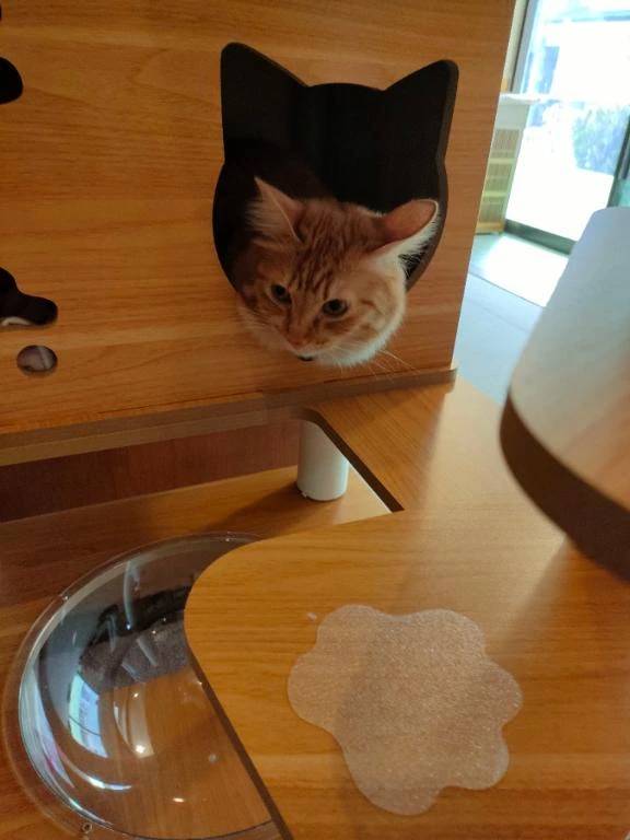 🌸３月出勤は31日のみ🌸