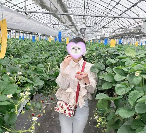 🍓