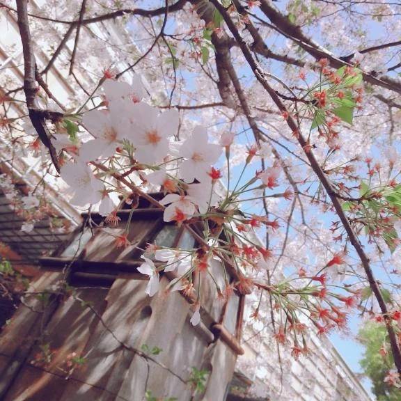 今日は何の日⤴️