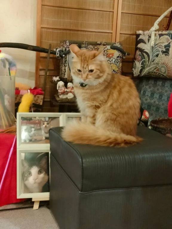 ※4月は８日＆10日のみ出勤です※