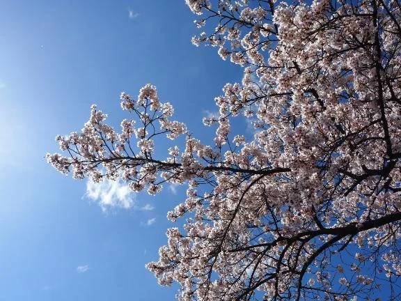 おはようございます☀️