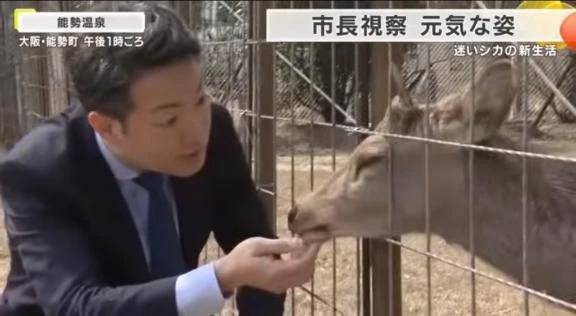鹿さんの温泉ライフ♨️