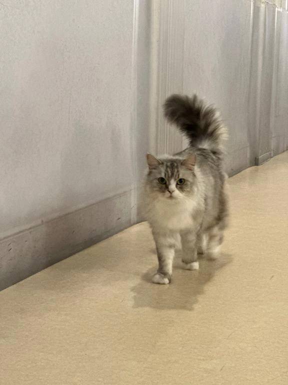 ♡ご予約♡