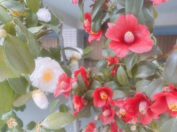 謙虚？慎み深い！？