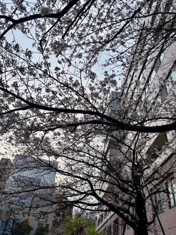 花より…？🌸